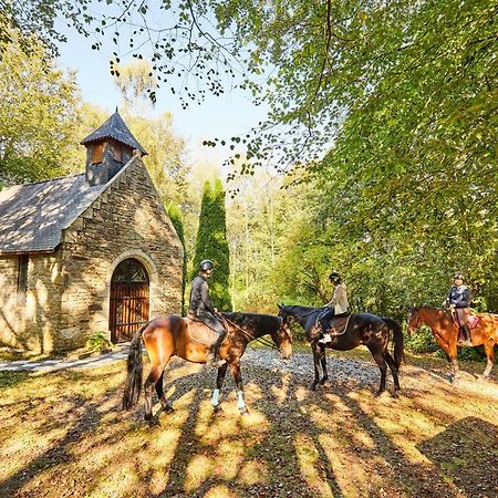 Maisonbel, gite convivial Bretagne Vannes Sarzeau 15 personnes Surzur Esterno foto